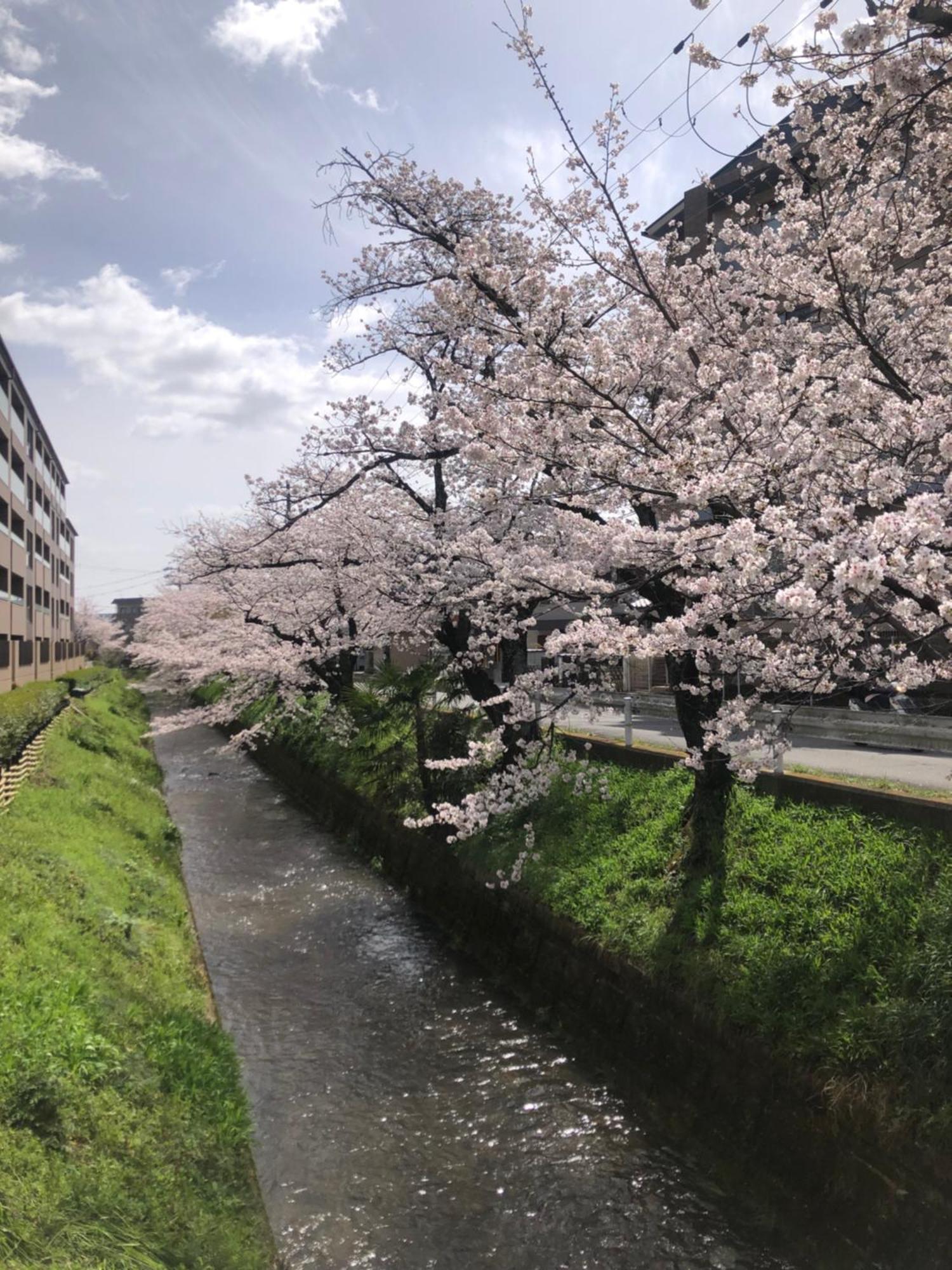 Tsubame-Ya Hotel Киото Екстериор снимка